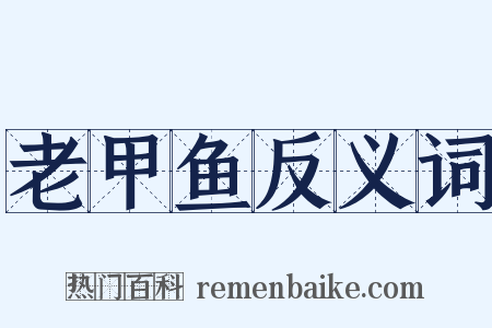 老甲鱼反义词是什么意思的图片